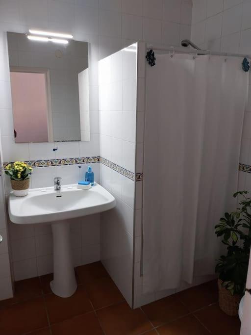 Cala Salions Balandro II Tossa De Mar Apartment Canet De Mar Exterior foto