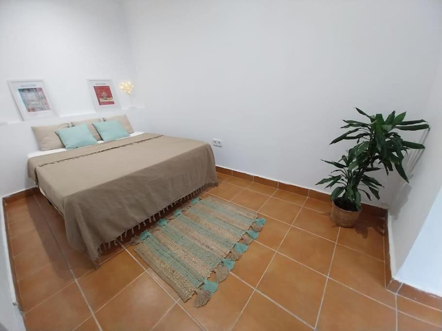 Cala Salions Balandro II Tossa De Mar Apartment Canet De Mar Exterior foto