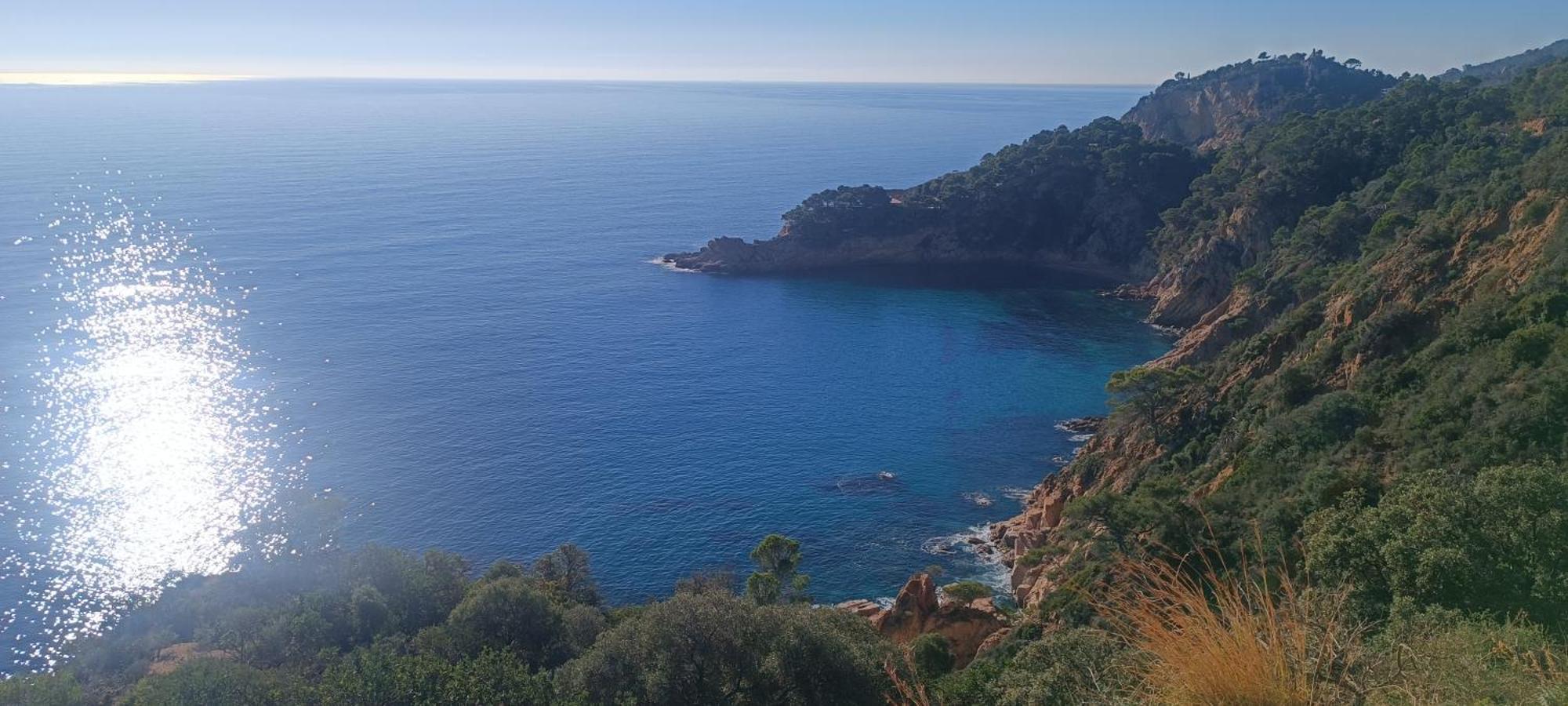 Cala Salions Balandro II Tossa De Mar Apartment Canet De Mar Exterior foto